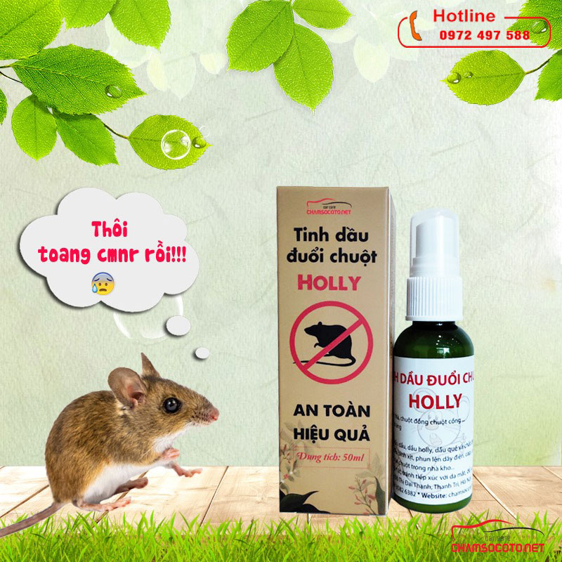 tinh dầu đuổi chuột